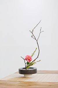零基礎(chǔ)學插花多少錢