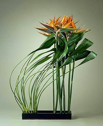 專業(yè)插花培訓學校