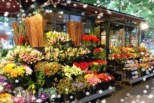 新手如何開花店？經營花店的要注意的八大問題