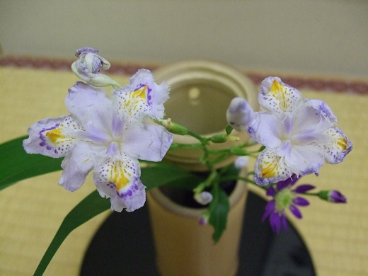 中國傳統插花藝術-茶幾茶道插花花藝